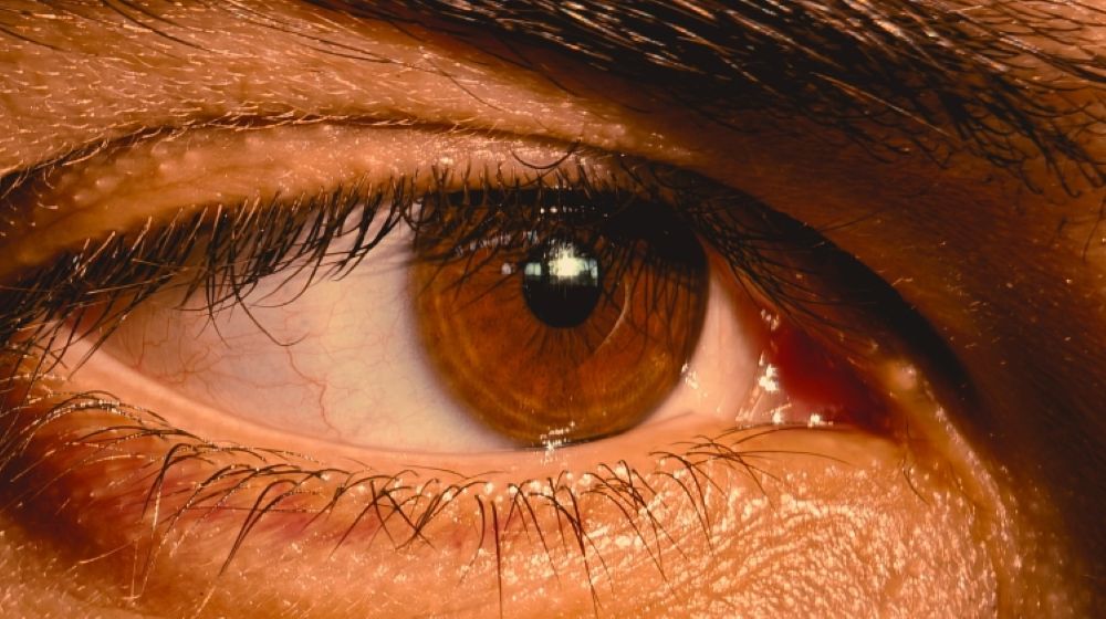Pesquisa apoiada pela FAPDF busca explicar circulação de líquido essencial ao funcionamento do sistema ocular