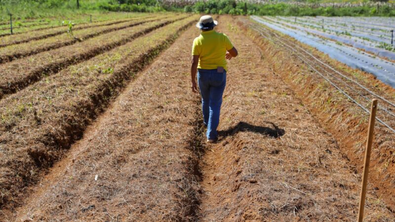 GDF lança edital para regularização fundiária de 182 imóveis rurais em Sobradinho