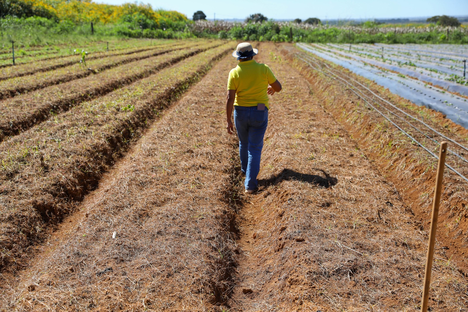 GDF lança edital para regularização fundiária de 182 imóveis rurais em Sobradinho