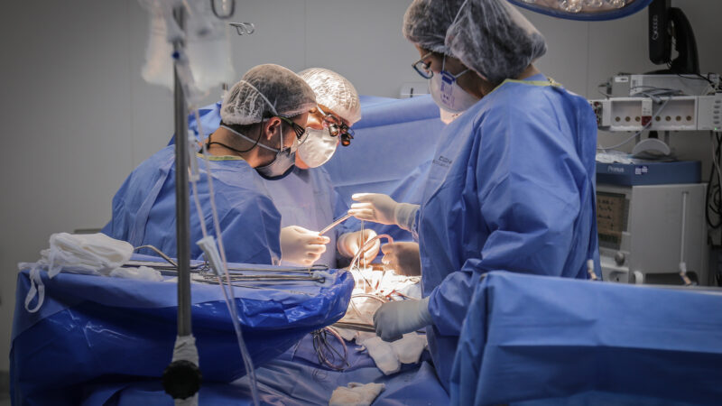Transplante, uma nova chance de recomeçar a vida