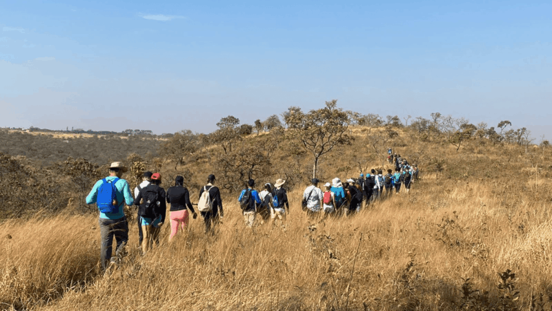 Caminhada nas Trilhas Ecológicas: DF abre 18 percursos gratuitos em 1º de agosto