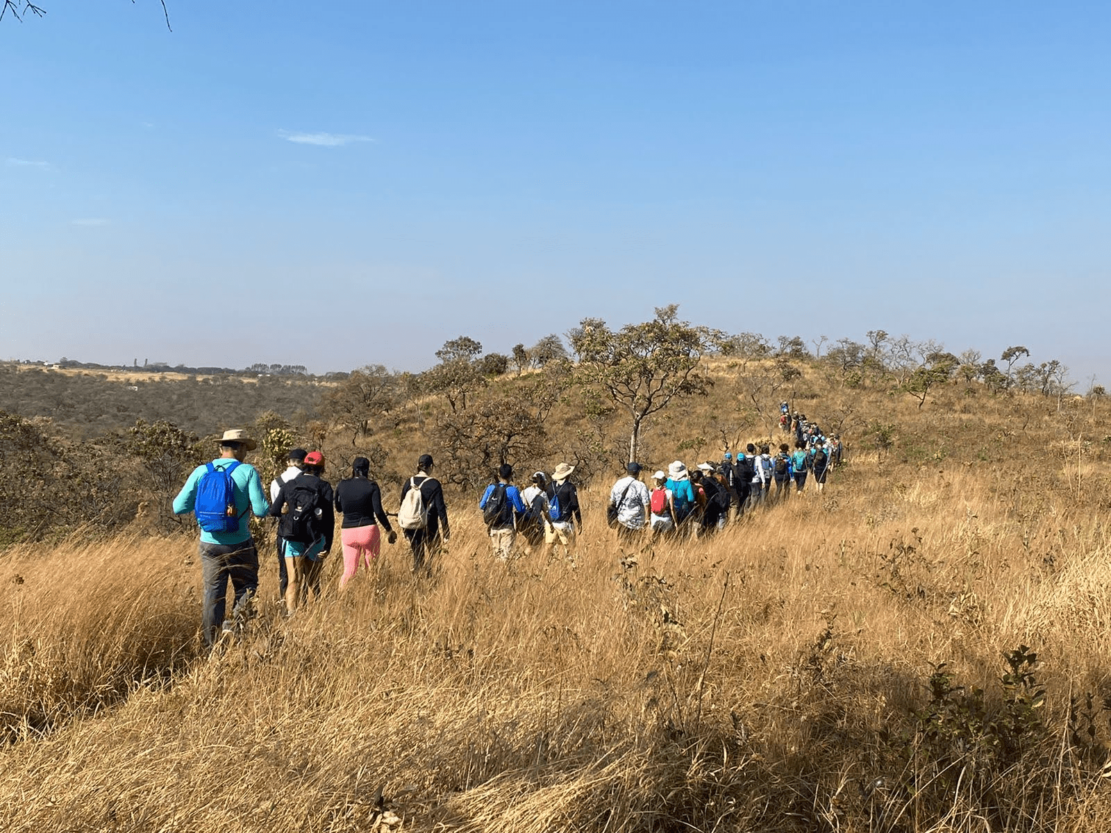 Caminhada nas Trilhas Ecológicas: DF abre 18 percursos gratuitos em 1º de agosto