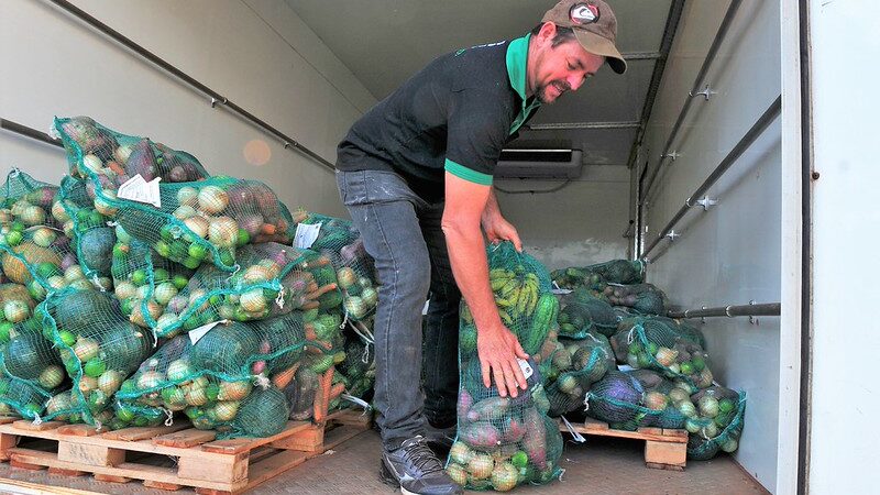 Cesta Verde DF: quem recebe, como funciona a entrega e o que vem na caixa