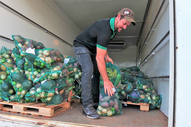 Cesta Verde DF: quem recebe, como funciona a entrega e o que vem na caixa