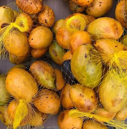 Mari-mari: o fruto agridoce vendido nos mercados da Amazônia