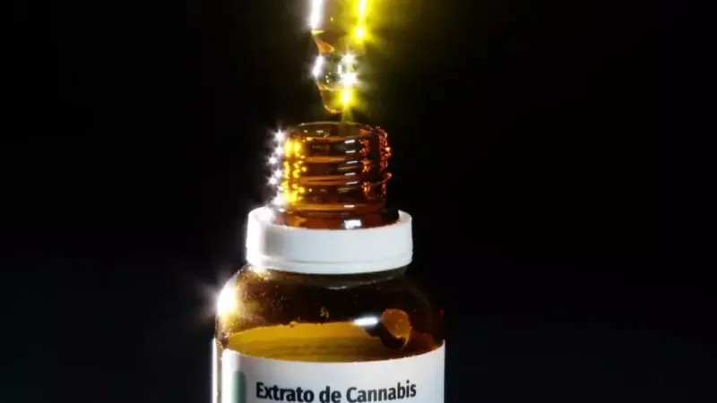 Autorizações para importação de cannabis aumentam 29% em 2026