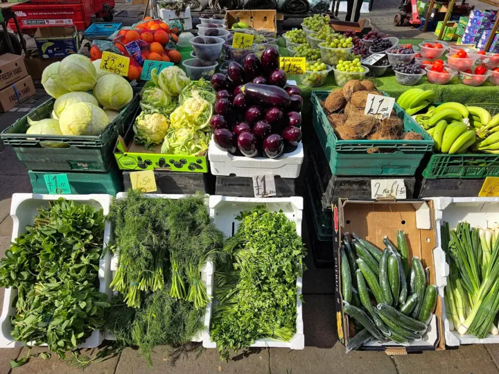 31 de agosto, Dia do Nutricionista: como a profissão atua da prevenção de doenças ao esporte