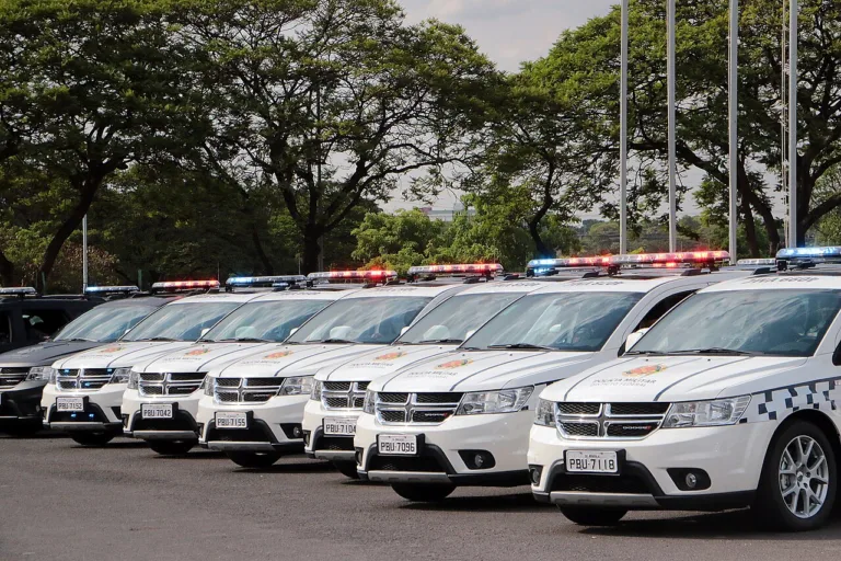 Homem ameaça motoristas na BR-070, é rastreado pelo DF-360 e preso com 2 kg de skunk