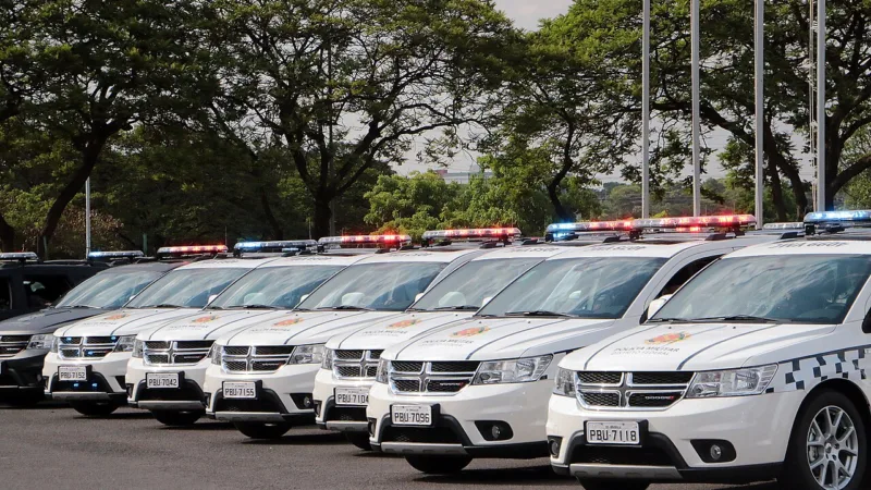 Homem ameaça motoristas na BR-070, é rastreado pelo DF-360 e preso com 2 kg de skunk