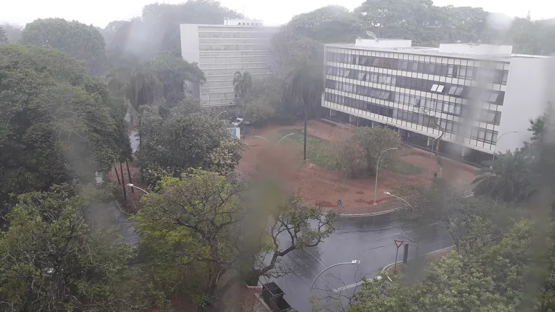 Câmera flagra homem perseguindo pai e filho com pedaço de madeira na 403 Sul