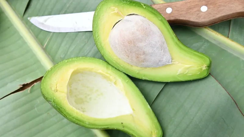 Abacate, peixes e grãos integrais: alimentos que ajudam a reduzir a gordura visceral