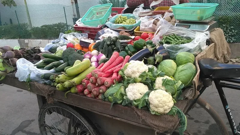 Acne: como a alimentação pode influenciar a pele