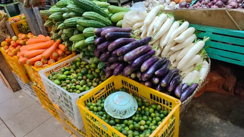 Alimentação à base de vegetais pode favorecer um envelhecimento mais saudável