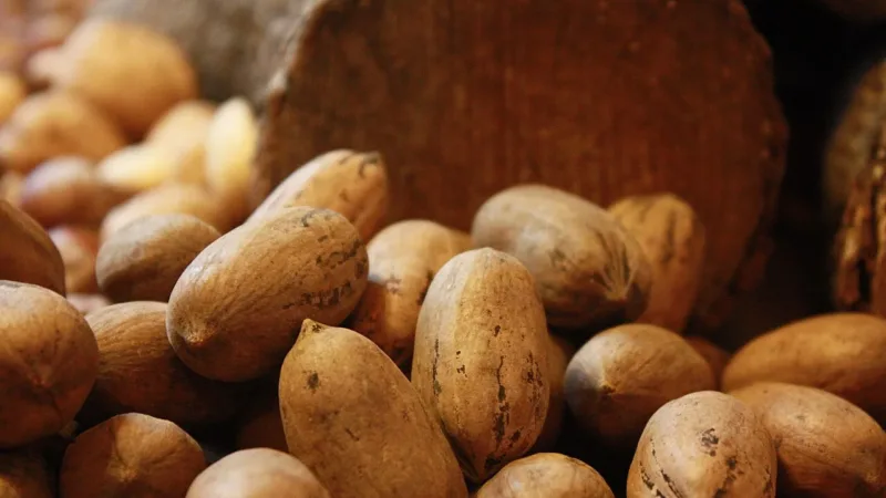 Alimentação anti-inflamatória: o que colocar no prato e o que evitar