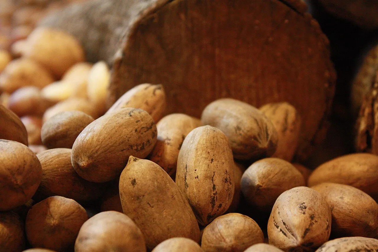 Alimentação anti-inflamatória: o que colocar no prato e o que evitar