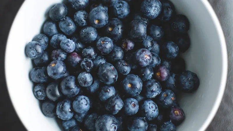 Alimentos funcionais: o que são e quais compostos fazem deles aliados da saúde