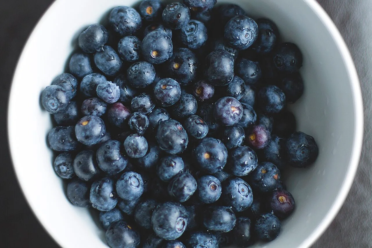 Alimentos funcionais: o que são e quais compostos fazem deles aliados da saúde