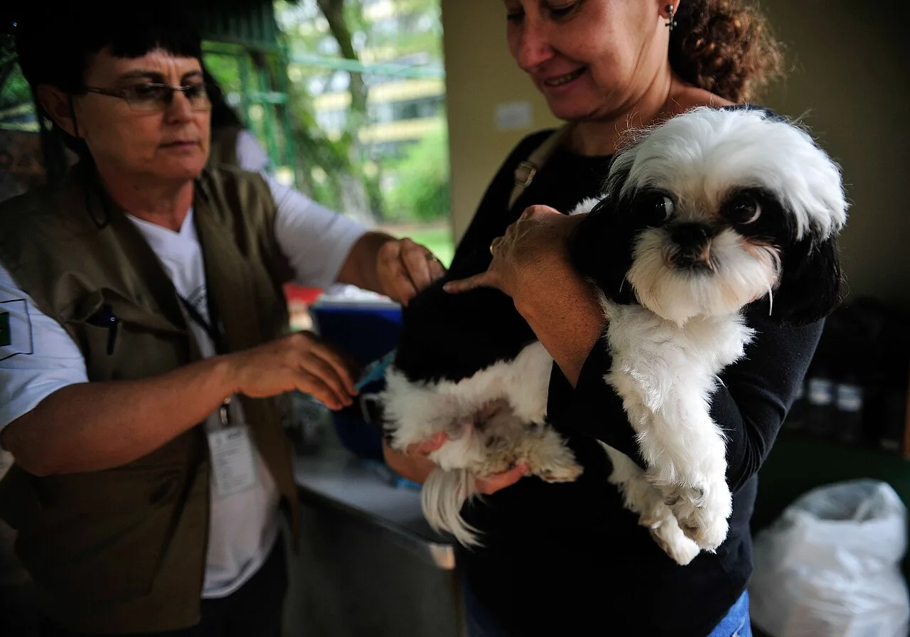 Alunos de Veterinária do UNICEPLAC ajudam a vacinar cerca de 800 animais contra a raiva no Gama