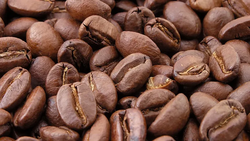 Anvisa proíbe venda de nove cafés contaminados e suspende laticínios da Natville