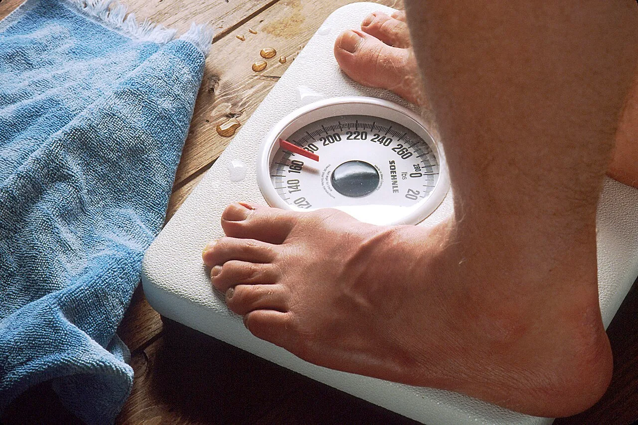 Atlas da Obesidade 2024 projeta 127 milhões de adultos brasileiros acima do peso até 2035