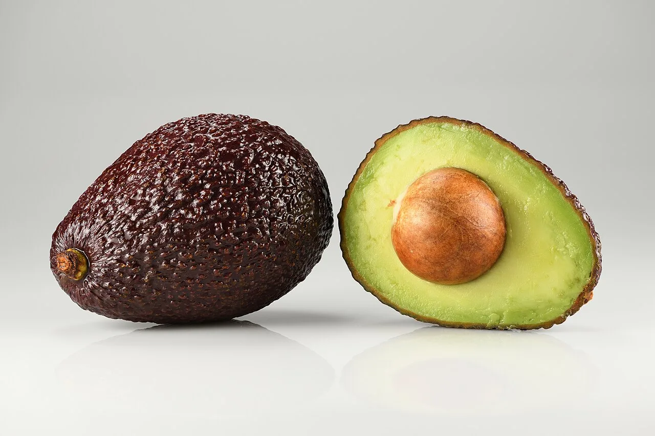 Avocado diário em dieta de restrição calórica reduziu glicose e inflamação, aponta estudo na Califórnia