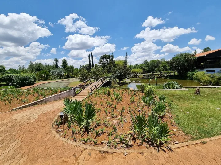 Cabana das Artes une arte, piscina aquecida e natureza no Condomínio Ouro Vermelho 2