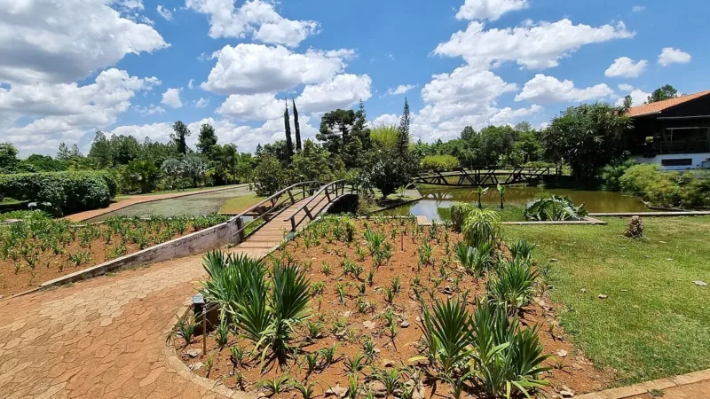 Cabana das Artes une arte, piscina aquecida e natureza no Condomínio Ouro Vermelho 2