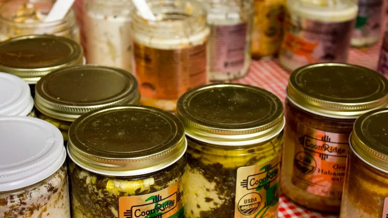 Cabríssima produz queijos de leite de cabra e abre fazenda para turismo rural com brunch