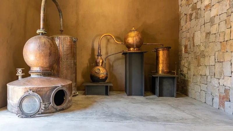 Cachaça Cavaco, primeira totalmente produzida no DF com registro no Mapa, nasceu de sonho de médico