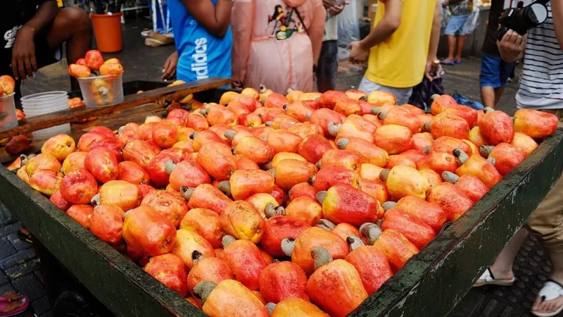 Caju: os nutrientes da fruta nordestina e como ela pode contribuir para a saúde