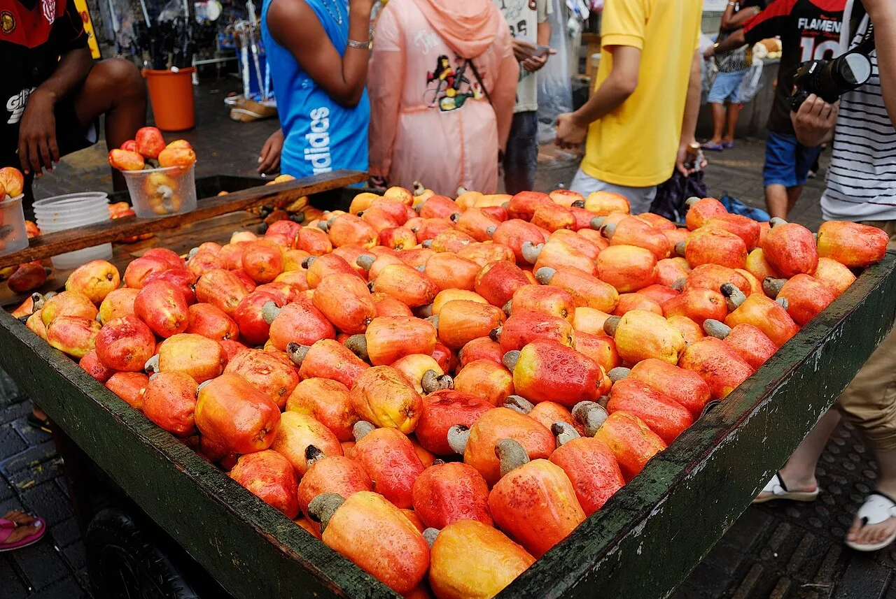 Caju: os nutrientes da fruta nordestina e como ela pode contribuir para a saúde