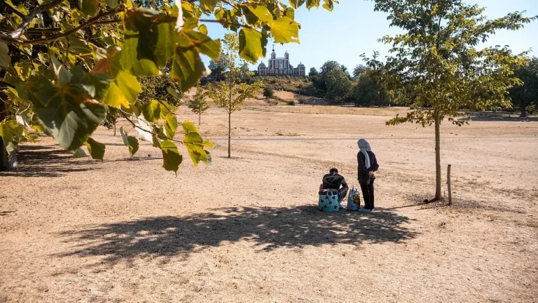 Calor intenso e coração: como as altas temperaturas afetam o sistema cardiovascular