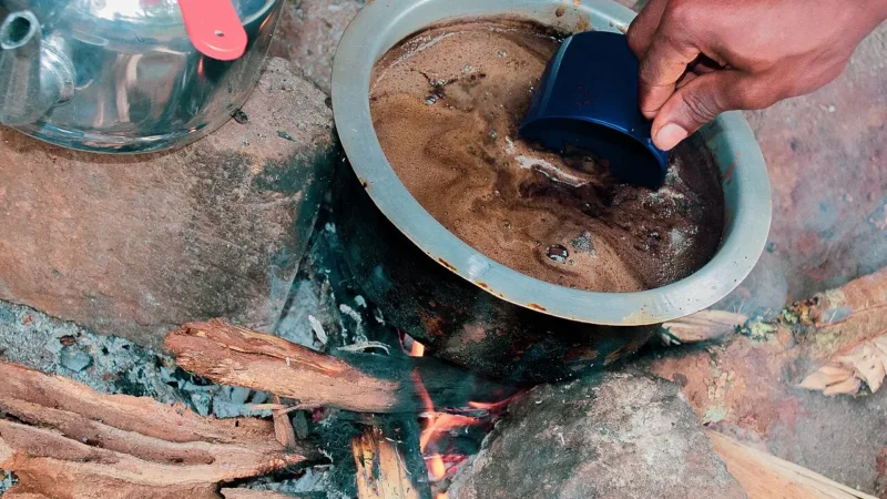 Cinco chás para reforçar a imunidade no frio e como prepará-los com segurança