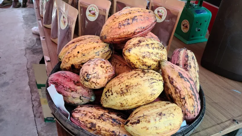 Clemens Chocolate troca containers no Lago Sul por fábrica e loja no Setor de Indústria do Paranoá