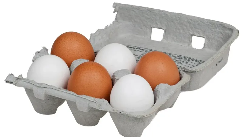 Comer ovo eleva o colesterol? Entenda o que dizem os estudos mais recentes