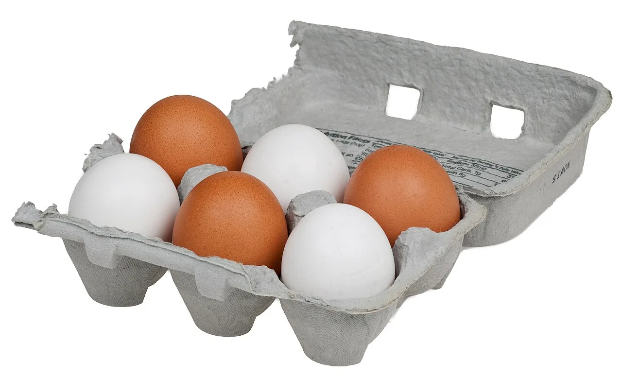 Comer ovo eleva o colesterol? Entenda o que dizem os estudos mais recentes