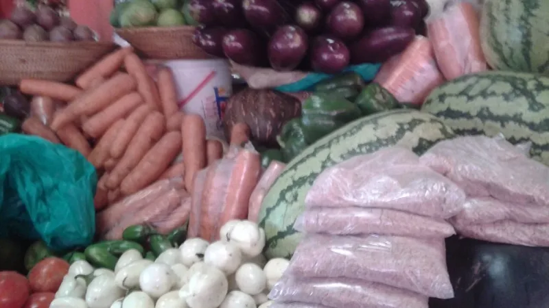 Comida que acalma: como a alimentação influencia a ansiedade e o estresse