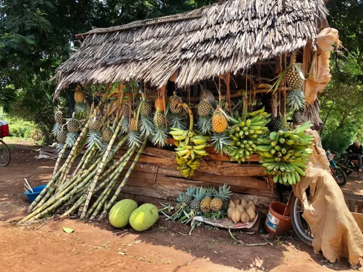 Como as frutas podem ajudar tanto a perder peso quanto a ganhar massa muscular