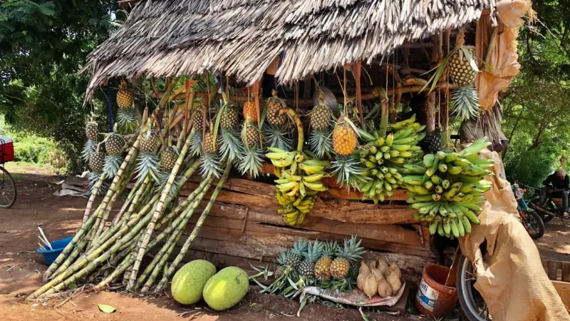 Como as frutas podem ajudar tanto a perder peso quanto a ganhar massa muscular