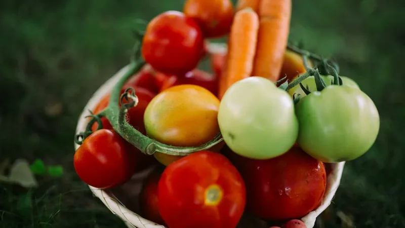 Contar calorias não basta: a qualidade nutricional dos alimentos faz diferença