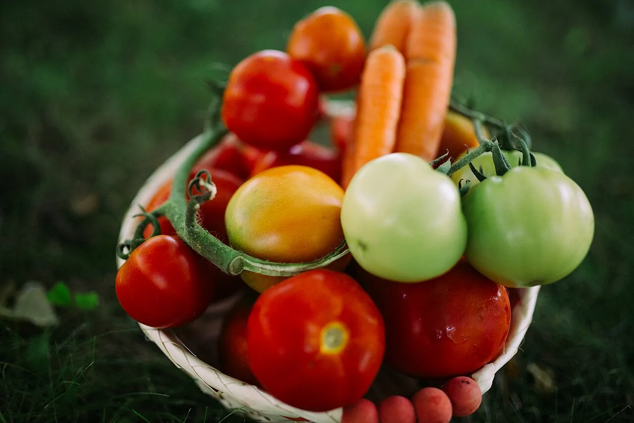 Contar calorias não basta: a qualidade nutricional dos alimentos faz diferença