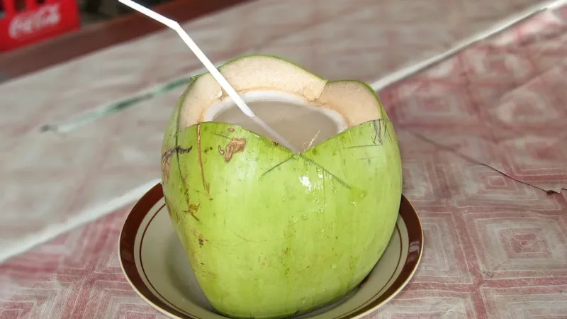 Dengue: o que comer para ajudar o corpo a se recuperar