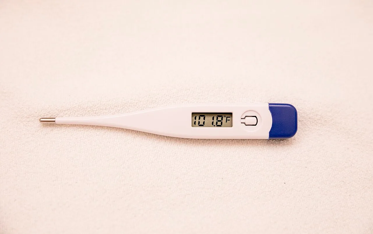 Dengue ou gripe? Saiba diferenciar os sintomas e quando procurar atendimento