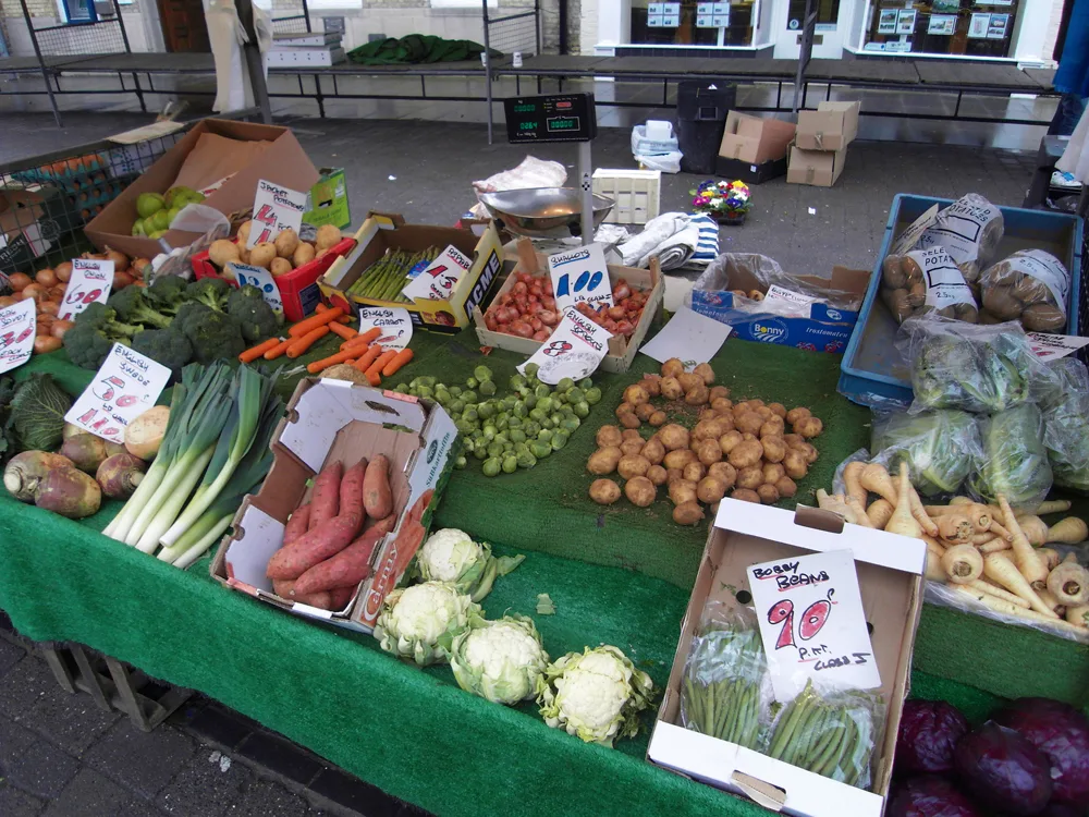 Dieta sem pesar no bolso: estratégias para economizar e comer bem