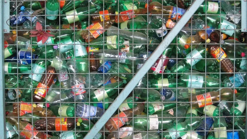Disruptores endócrinos: substâncias que alteram os hormônios e como reduzir o contato