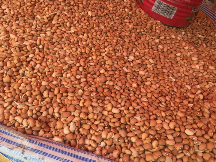Do feijão às frutas: sete escolhas do dia a dia que favorecem o coração e a circulação