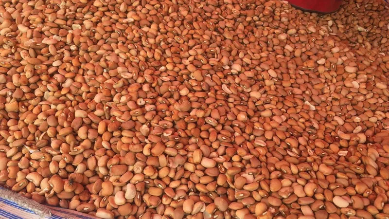 Do feijão às frutas: sete escolhas do dia a dia que favorecem o coração e a circulação
