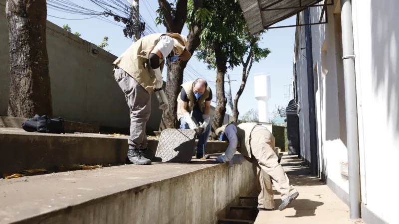 Agentes de saúde reforçam ação preventiva contra escorpiões no DF