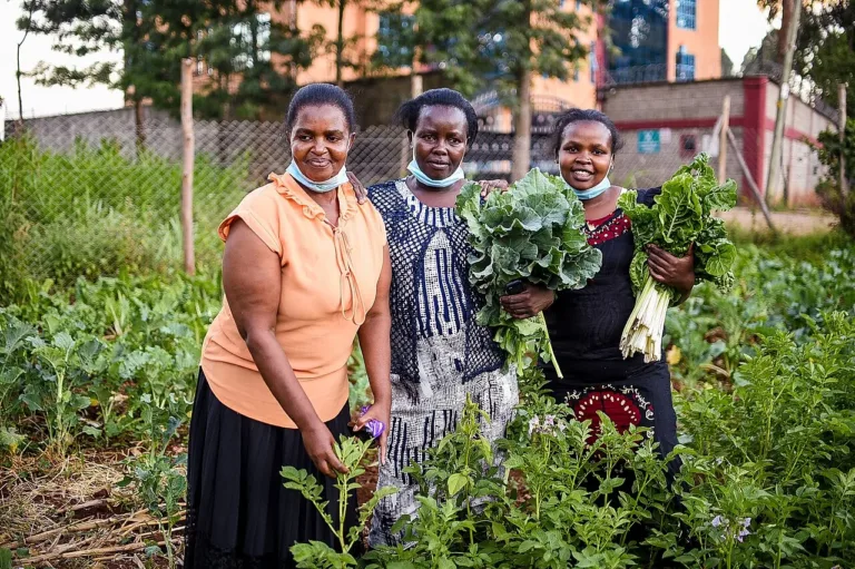 Espinafre, couve e brócolis: os benefícios das verduras verde-escuras