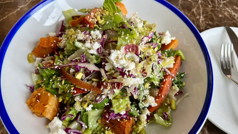 Estudo de Stanford com gêmeos idênticos mostra efeito da dieta vegana no coração e no peso